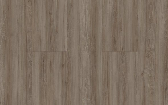 linha link San-Andres padrao