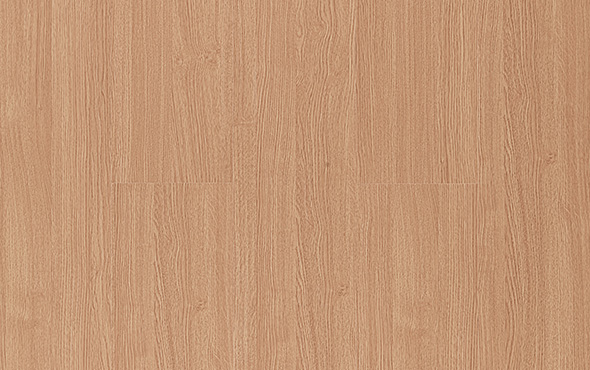 linha spot Carvalho 01 padrao