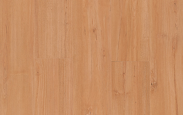 linha spot Maple Verona padrao